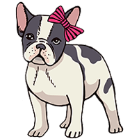 French Bulldog Female Names Generator