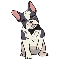 French Bulldog Male Names